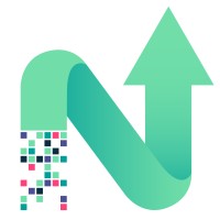 NEXT Data Service AG Logo