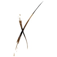 Xperience - Laboratoire de projets Logo