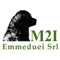 Emmeduei Srl Logo