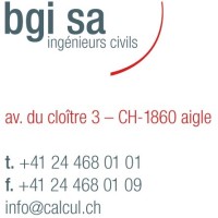 BGI SA Logo