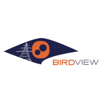 BIRDVIEW Srl Logo