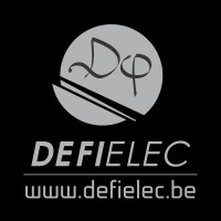 DEFI ELEC - Electricien élite Logo