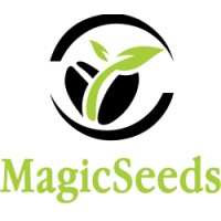 MagicSeeds Logo