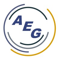 Audience Engagement Group Logo