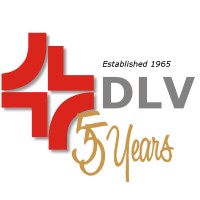 DLV Engineers (Pty) Ltd Logo