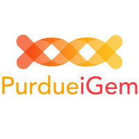 Purdue iGEM Logo