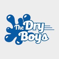 The Dry Boys of Albany Logo