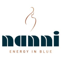 Nanni : Energy in blue Logo