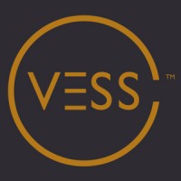 VESS Consulting Group Logo