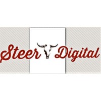 Steer Digital USA Logo