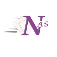 NoiseAcct Services LLC Logo