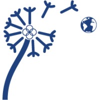 Momentum Novum Logo
