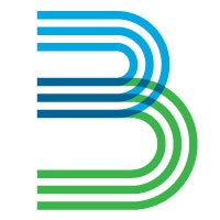 Blockvolution Logo