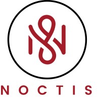 Noctis Logo