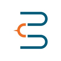 Capital Insight Logo