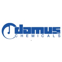 Domus Chemicals S.p.A Logo