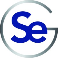 Solution Engineering Group Logo