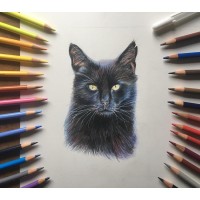 Amies Portraits Logo