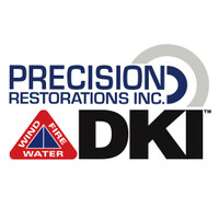 Precision DKI Logo