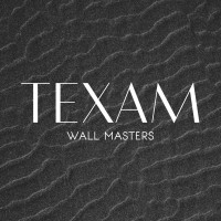 TEXAM WALL MASTERS Logo