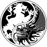 Dutch Sino Business Promotions Logo