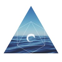 Flow Consciousness Institute Logo