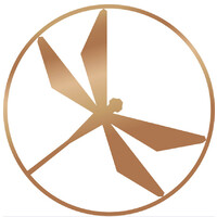 Amber Property Group Pty Ltd Logo