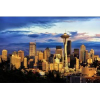 Showalter Consulting Logo