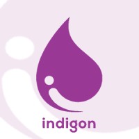 Indigon Logo