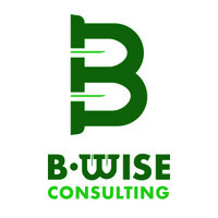 B-Wise Consulting, LLC Logo