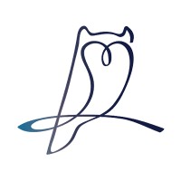 Cambridge Insights- Leadership and Innovation for a greater world Logo