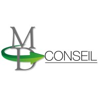 MD Conseil - IT and management consulting Logo