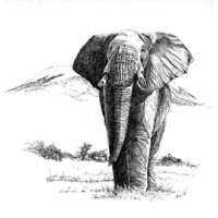 Studio Medico Associato MILANO Logo