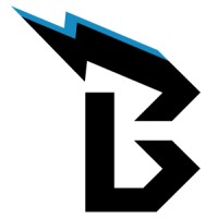 Blitz Technology Consulting Logo