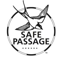 Safe Passage Across Networks (SPAN) Logo