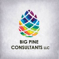 Big Pine Consultants LLC Logo