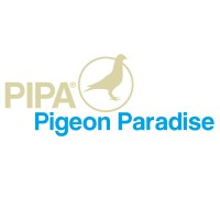 Pigeon Paradise Logo