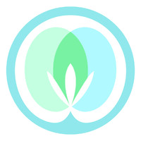 Bengtson Center for Aesthetics & Plastic Surgery Logo