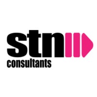 Signal to Noise Consultants Logo