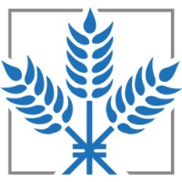 WHEATSTONE Logo