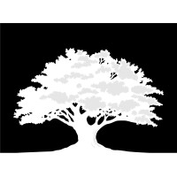O.T. Partners Logo