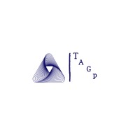 The Alexander Group Human Resource Consultants, INC. Logo