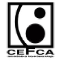 Centro de Estudios de Física del Cosmos de Aragón (CEFCA) Logo