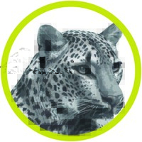 Ingwe Property Group Logo