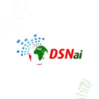 DSN - Data Scientists Network/Data Science Nigeria Logo