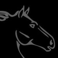 Stallion Construction Group Inc. Logo