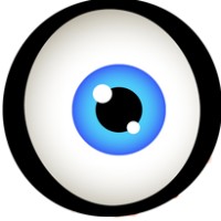 Webzool Logo