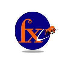 FINXL Logo