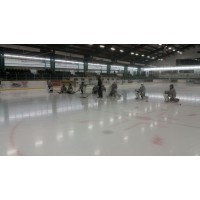 Top Goaltending Ltd. Logo