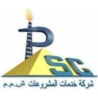 Project Services Company Logo